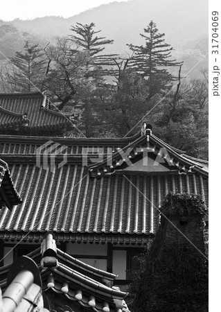 麻谷寺 韓国 モノクロ 31704069