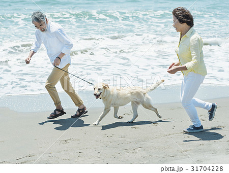 シニア夫婦と犬 浜辺 走るの写真素材