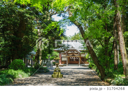 黄瀬川八幡神社 31704268