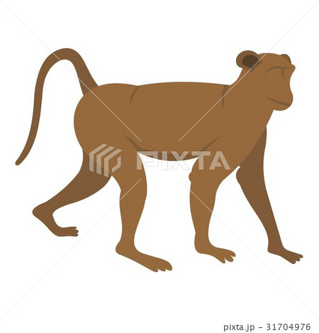 Brown monkey icon isolated Brown monkey icon isolated 31704976