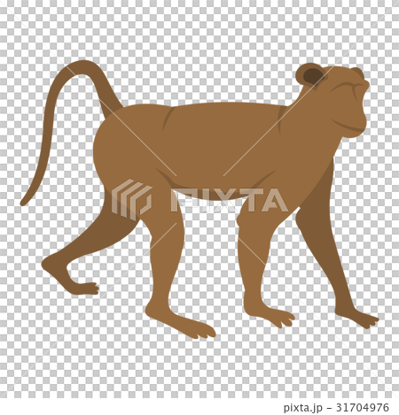 Brown monkey icon isolated Brown monkey icon isolated 31704976