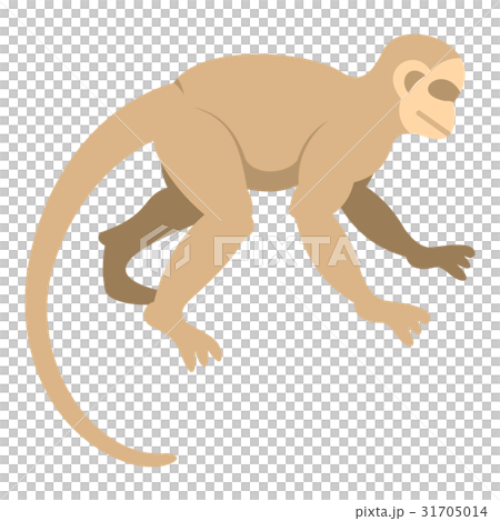 White capuchin icon isolated - Stock Illustration [31705014] - PIXTA