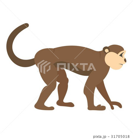 Macaque monkey icon isolated Macaque monkey icon isolated 31705018