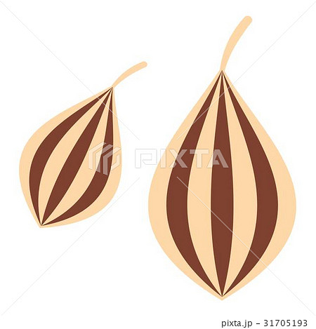 Ajwain icon isolated 31705193