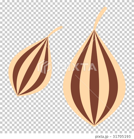 Ajwain icon isolated Ajwain icon isolated 31705193