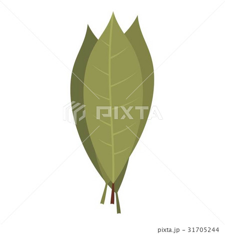 Bay laurel leaves icon isolated 31705244
