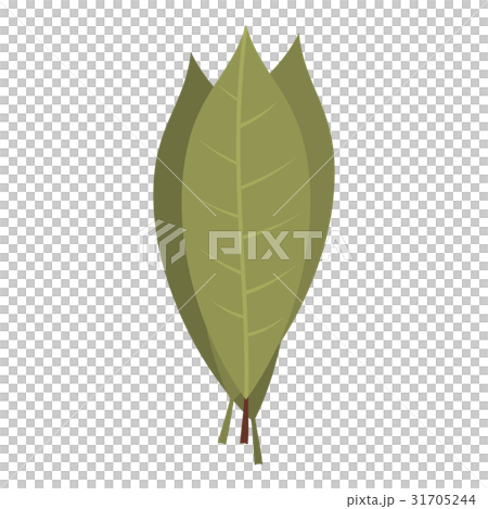 Bay laurel leaves icon isolated 31705244