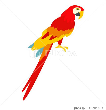 Scarlet macaws icon isolated 31705864