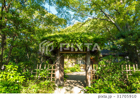 慶沢園　茶室の門 31705910