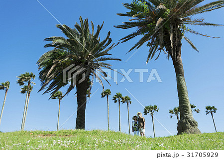 シニア夫婦　旅行　南国 31705929