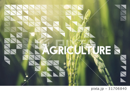 Alternative Farming Sustainable Nature Concept 31706840