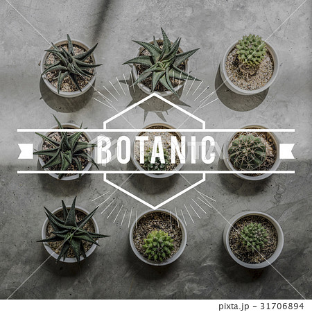 Botanic Nature Plant Environmental Conservation Botanic Nature Plant Environmental Conservation 31706894