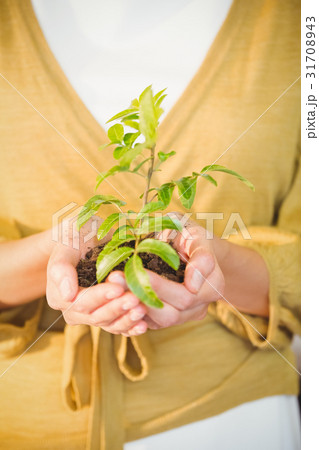 Business woman showing a plant Business woman showing a plant 31708943