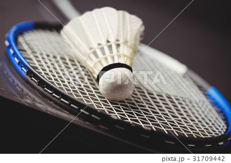 Close up of shuttlecock and badminton racket Close up of shuttlecock and badminton racket 31709442