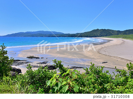 大岐の浜-37495 31710308