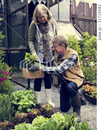 People Planting Harvest Garden Green People Planting Harvest Garden Green 31710483