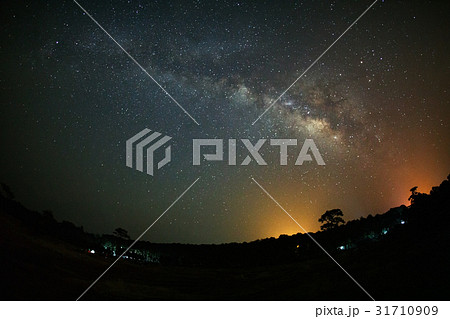 Milky Way and silhouette of tree at PhuHinRongKla 31710909