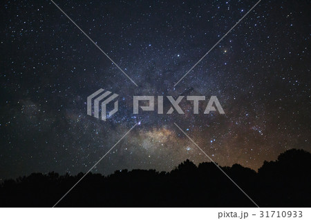 Milky Way and silhouette of tree at PhuHinRongKla Milky Way and silhouette of tree at PhuHinRongKla 31710933