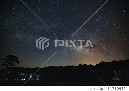Milky Way and silhouette of tree at PhuHinRongKla 31710935