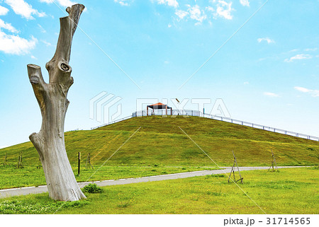 千年希望の丘・東日本大震災メモリアルパーク 31714565