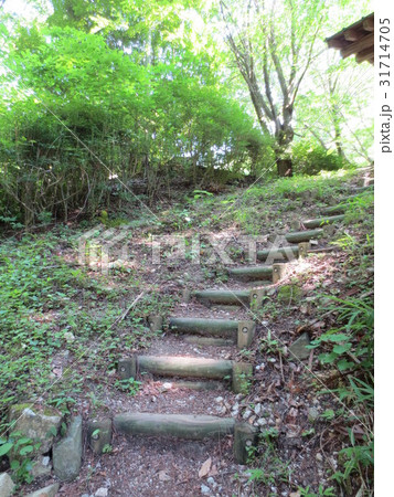 鈍川渓谷の散歩道 鈍川渓谷の散歩道 31714705