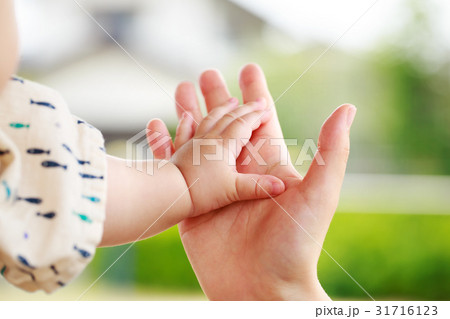 家族の手　母と子の手 31716123