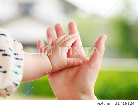家族の手　親と子の手 31716124