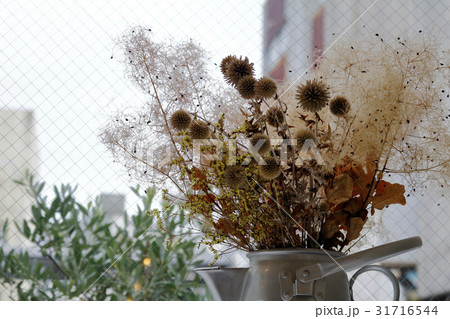 装飾（店内の一角）ディスプレイ 31716544