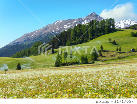 Irrigation water spouts in Summer Alps mountain Irrigation water spouts in Summer Alps mountain 31717057
