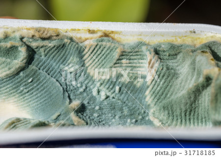 Closeup on rotten fresh cheese tub edge 31718185