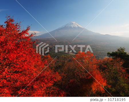 紅葉台から秋の富士山 31718195