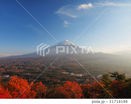 紅葉台から秋の富士山 31718196