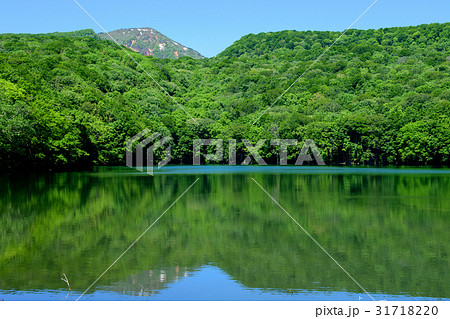 初夏の蔦沼　青森県 31718220