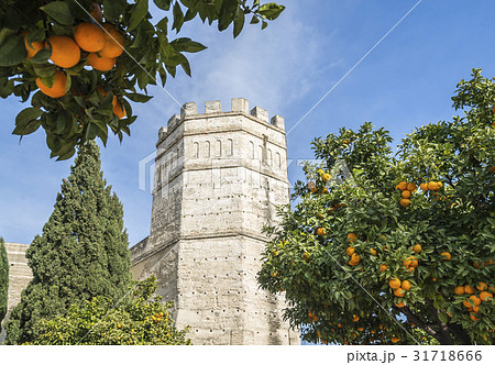 枝葉に付いたオレンジ越しに見るヘレスのアルカサル 31718666