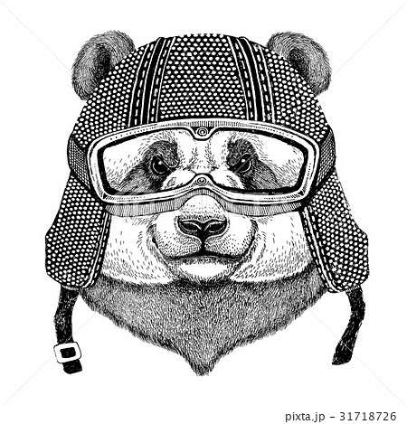 Panda bear, bamboo bear wearing vintage motorcycle 31718726
