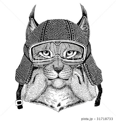 Wild cat Lynx Bobcat Trot wearing vintage 31718733