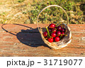 Cherry in the basket 31719077