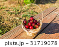 Cherry in the basket 31719078