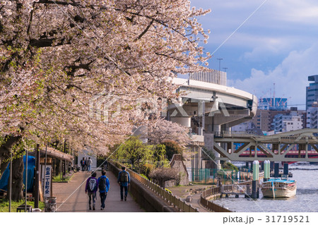 日本の春 東京の都市風景[隅田川と桜] 31719521