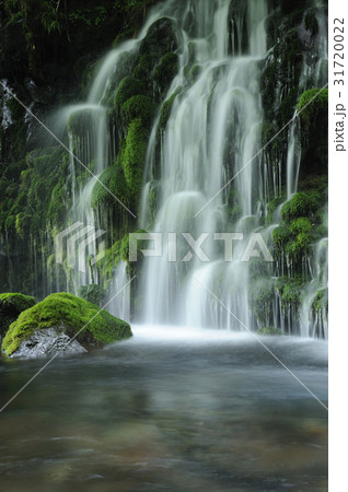 元滝伏流水 元滝伏流水 31720022