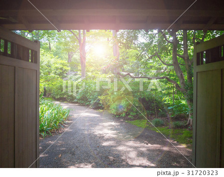 The door to the forest The door to the forest 31720323