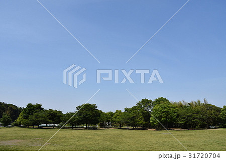 茅ヶ崎の新緑 里山公園 茅ヶ崎の新緑 里山公園 31720704