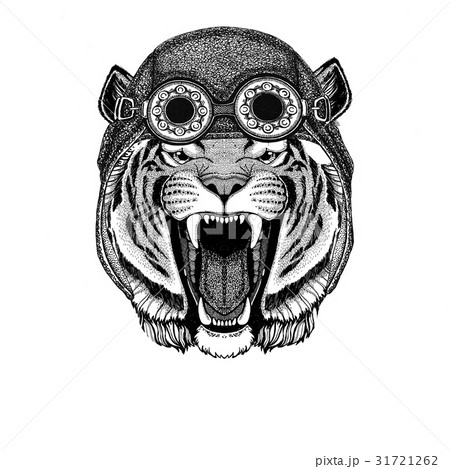 Wild tiger wearing aviator hat Motorcycle hat with Wild tiger wearing aviator hat Motorcycle hat with 31721262