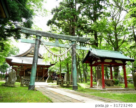 日吉八幡神社拝殿・鳥居・手水舎 日吉八幡神社拝殿・鳥居・手水舎 31723240