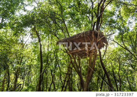House of vedda people 31723397