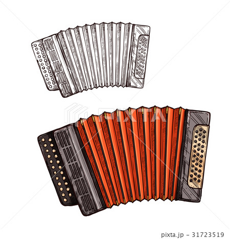 Vector Sketch Accordion Musical Instrumentのイラスト素材