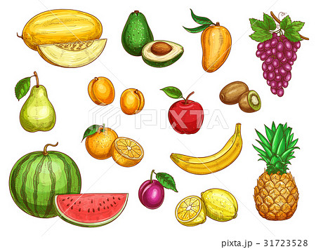 Vector exotic fresh fruits isolated icons set Vector exotic fresh fruits isolated icons set 31723528