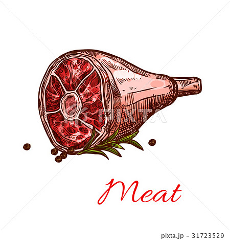 Vector raw fresh hind quarter meat isolated icon Vector raw fresh hind quarter meat isolated icon 31723529