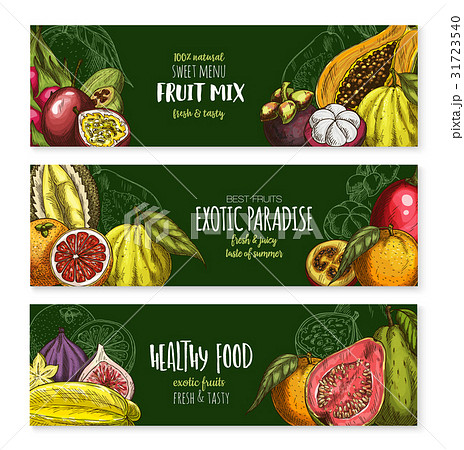 Vector banners of exotic fruits mix for menu Vector banners of exotic fruits mix for menu 31723540