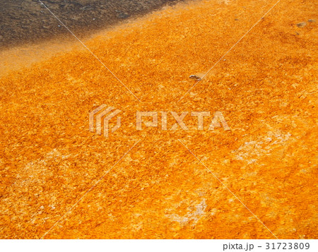 グランド・プリズマティック・スプリング 31723809